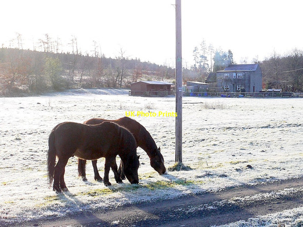 Photo 6"x4" Redlead Mill Dukesfield\/NY9457 c2012