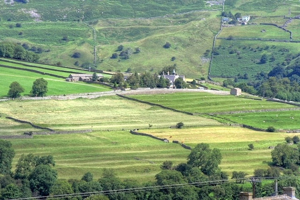 Photo 6"x4" Cultivation Terraces Reeth\/SE0399 c2008