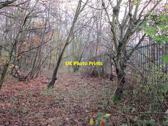 Photo 6"x4" Wasteland to the rear of Bilsdale Grove, Hull Marfleet c2012