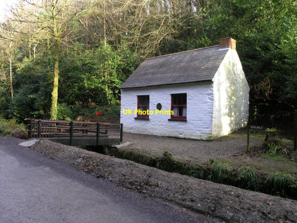 Photo 6"x4" Sprigging School Castlefreke c2012
