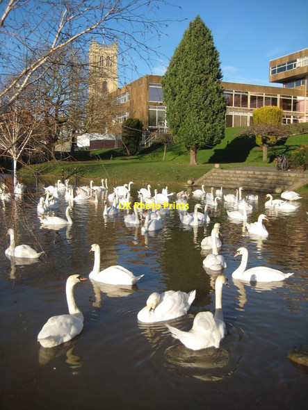 Photo 6"x4" Flooding below Worcester College of Technology Worcester c2012