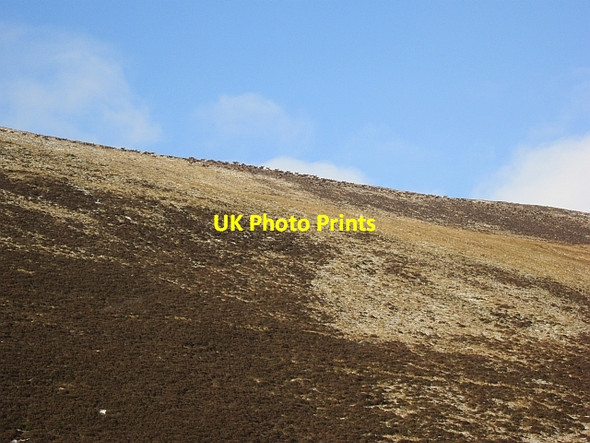 Photo 6"x4" The Call Dalhally c2012