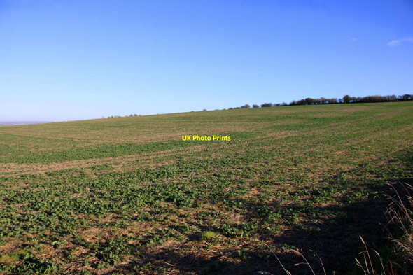 Photo 6"x4" Arable field near Blewbury Woodway c2012