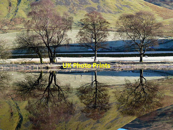 Photo 6"x4" Reflections on the Loch of the Lowes Bowerhope c2012