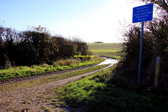 Photo 6"x4" Restricted Byway to the Ridgeway East Ilsley c2012