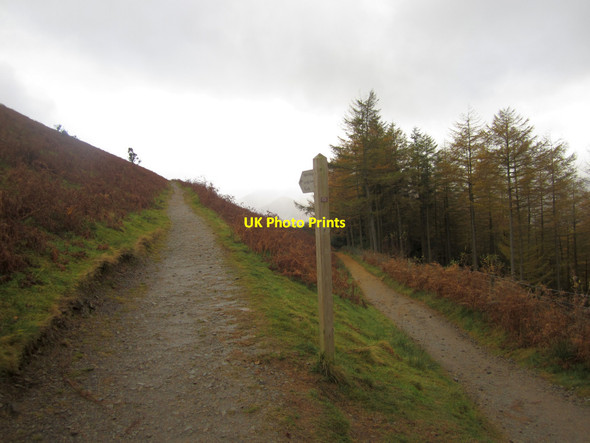 Photo 6"x4" Footpath to Latrigg Keswick\/NY2623 c2012