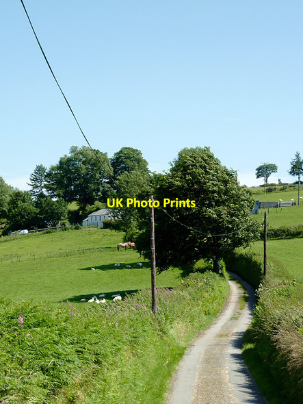 Photo 6"x4" Lane  to Betws Bledrws, Ceredigion Betws Bledrws c2012
