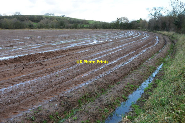 Photo 6"x4" A very wet ploughed field near Marden Pikestye c2012