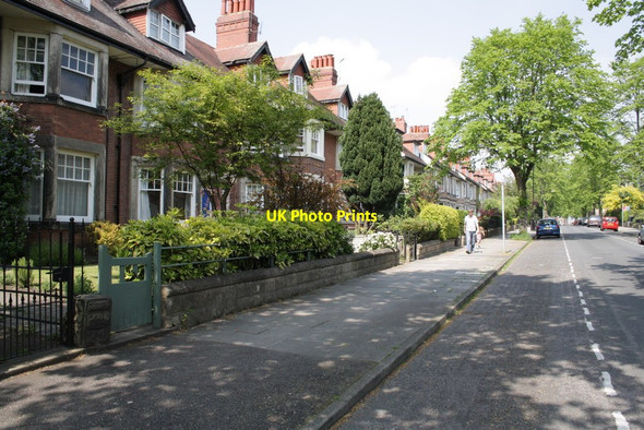 Photo 6"x4" Dragon Parade Harrogate c2012