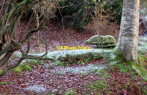 Photo 6"x4" Beware wild boar, Haystoun Peebles\/NT2540 c2012