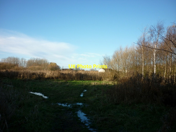 Photo 6"x4" A small wood near Oak Road playing fields West Carr\/TA0932 c2012