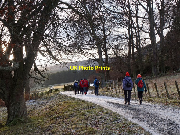 Photo 6"x4" Farm road to Upper Newby, Glen Sax Bonnington\/NT2538 c2012