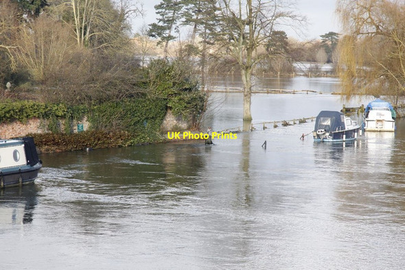 Photo 6"x4" Wading along Wallingford c2012