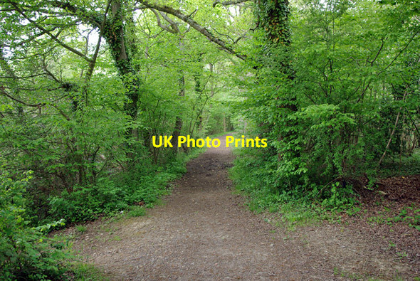 Photo 6"x4" Path, Pond Wood Hickstead c2010