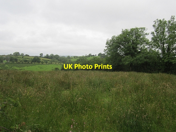 Photo 6"x4" Dunaree Gardens Kingscourt\/N7895 c2012