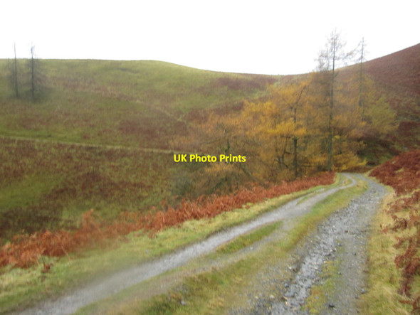 Photo 6"x4" Bridleway above Whit Beck Keswick\/NY2623 c2012