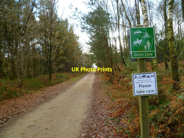 Photo 6"x4" Quiet Lane to Hindhead Hindhead c2012