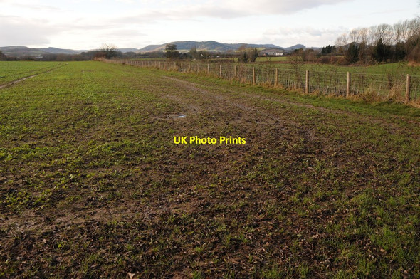 Photo 6"x4" Farmland at Marden Marden\/SO5247 c2012 P1