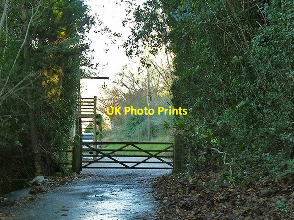 Photo 6"x4" The end of Greenwoods Lane Three Cups Corner c2012