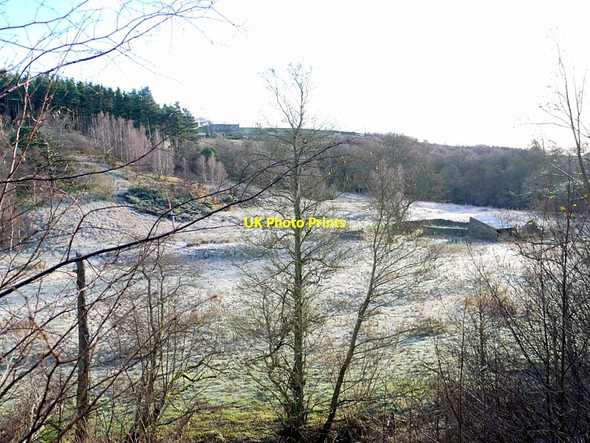 Photo 6"x4" Gingles Haugh east of Devil's Water Rawgreen c2012