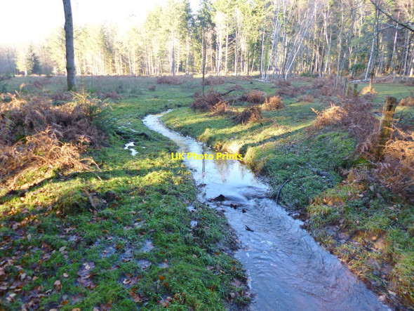 Photo 6"x4" Knightwood Inclosure, brook Bank\/SU2807 c2012