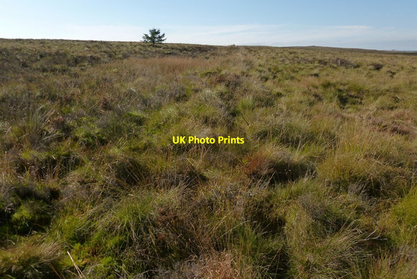 Photo 6"x4" Remains of a boundary Mill of Haldane c2012