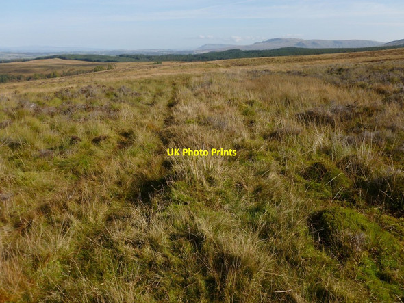 Photo 6"x4" Remains of a boundary Mill of Haldane c2012