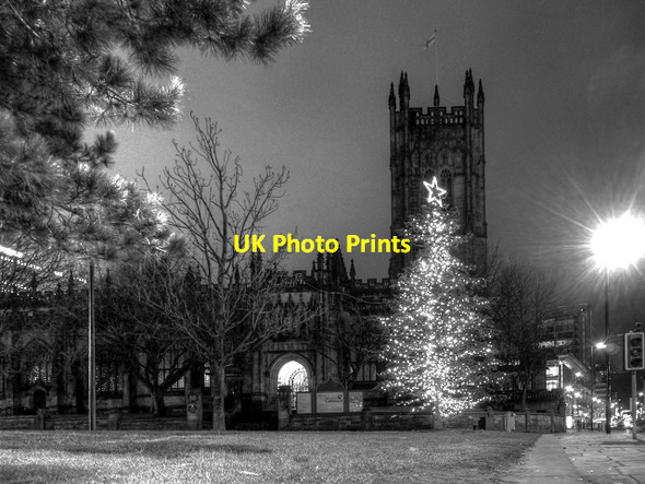 Photo 6"x4" Cathedral and Christmas Tree Manchester c2012