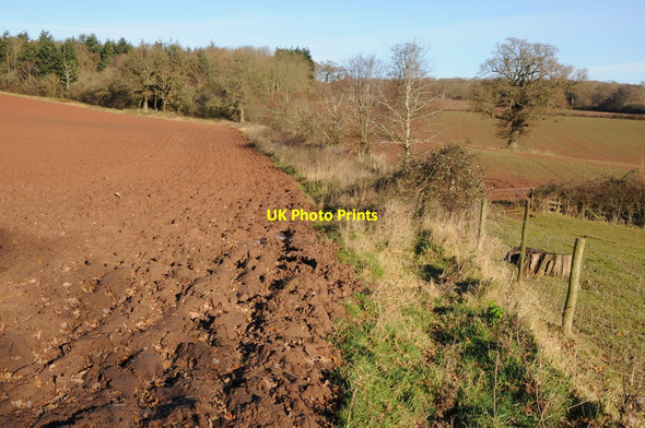Photo 6"x4" The Herefordshire Trail at Kentchurch Kentchurch c2012