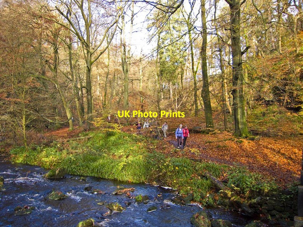 Photo 6"x4" Footpath in Hebden Dale Shackleton c2011