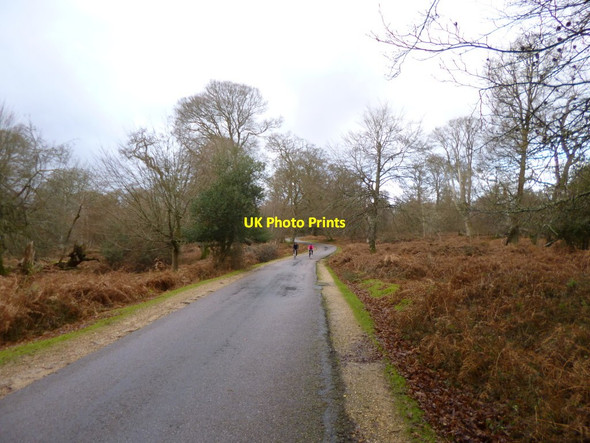 Photo 6"x4" Bolderwood Ornamental Drive Bank\/SU2807 c2012