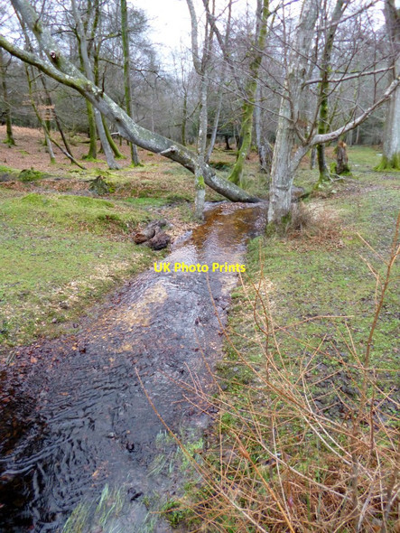 Photo 6"x4" Knightwood Inclosure, brook Bank\/SU2807 c2012