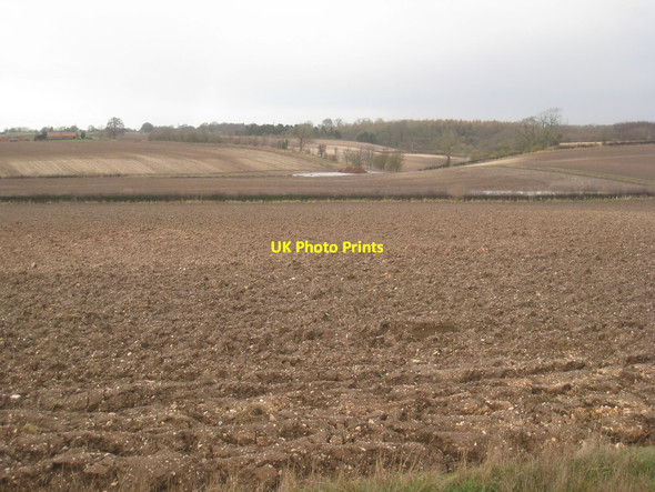Photo 6"x4" View towards Risby Park Risby\/TA0034 c2012
