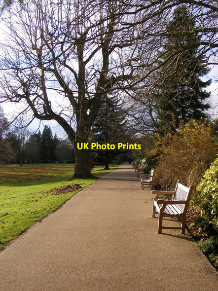 Photo 6"x4" Jephson Gardens Walk Royal Leamington Spa c2012