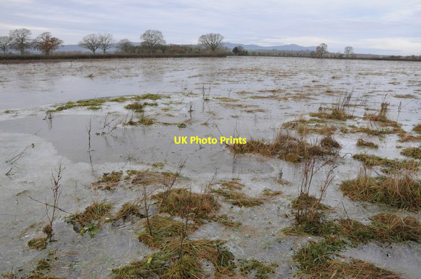 Photo 6"x4" Frozen floodwater Longdon\/SO8336 c2012