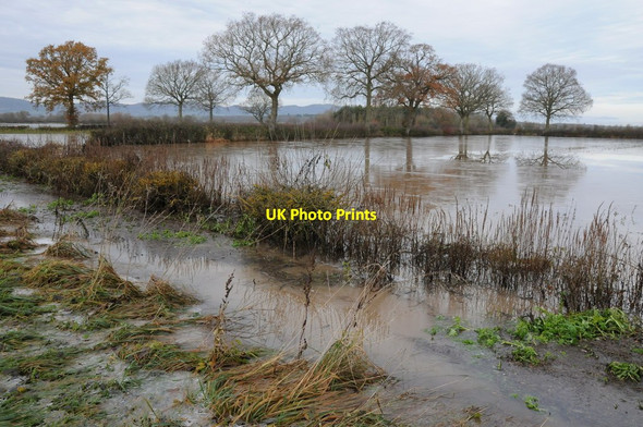 Photo 6"x4" Longdon Marsh in flood Marsh End c2012