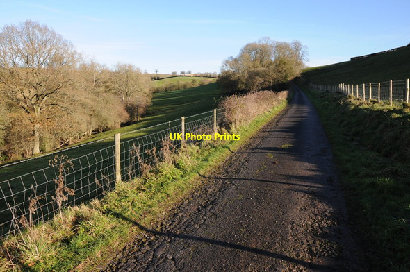 Photo 6"x4" Road to Bagwyllydiart Bagwyllydiart c2012