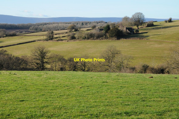 Photo 6"x4" Meadows Farm Bagwyllydiart c2012