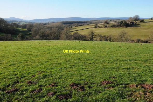 Photo 6"x4" View over Kentchurch Bagwyllydiart c2012