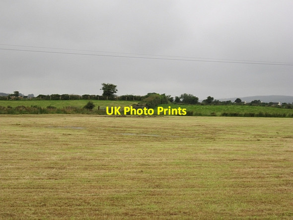 Photo 6"x4" Harvested silage Carrigans c2012