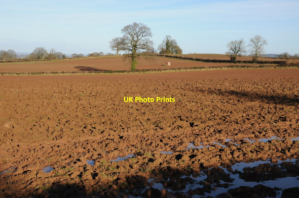 Photo 6"x4" Arable fields at Bagwyllydiart Cross Llyde c2012