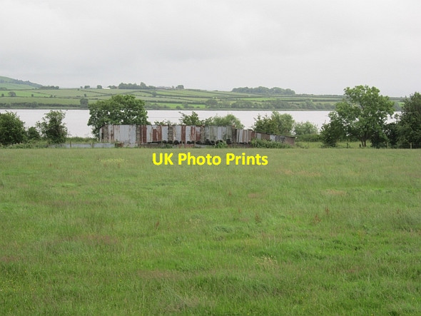 Photo 6"x4" Field beside the Foyle Carrigans c2012