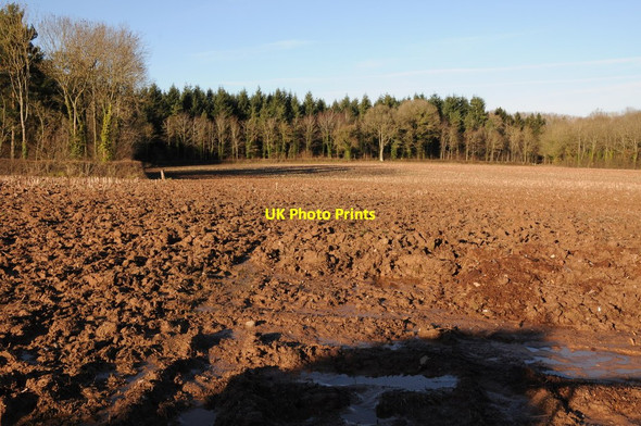 Photo 6"x4" Ploughed field and Mill Wood Marlas\/SO4429 c2012