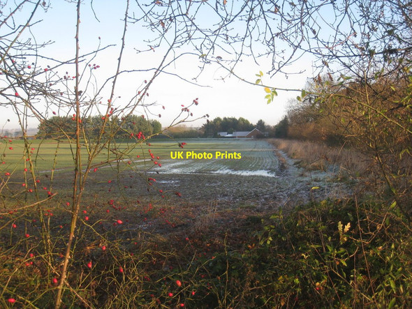 Photo 6"x4" Winter view near Blackmoor Farm Aubourn c2012