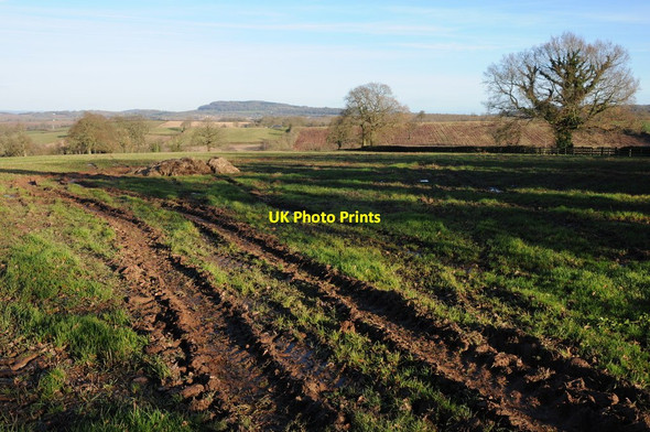 Photo 6"x4" Farmland at New House Farm Marlas\/SO4429 c2012