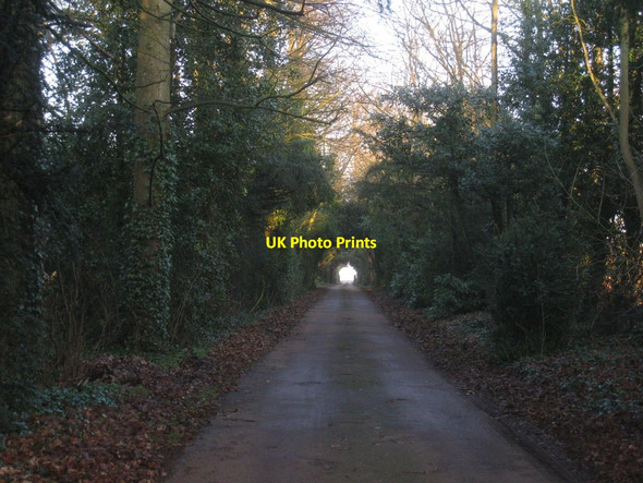 Photo 6"x4" The roadway from Coleby Hall Coleby\/SK9760 c2012