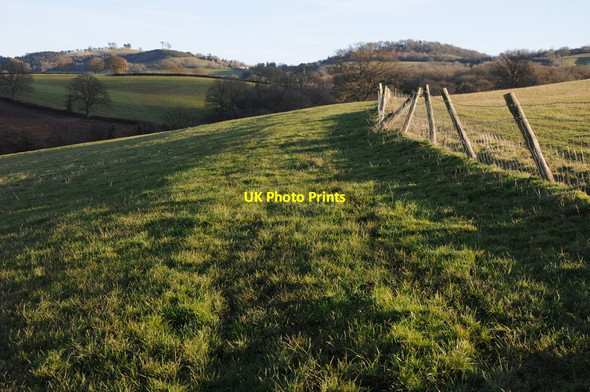 Photo 6"x4" The Herefordshire Trail south of Marlas Marlas\/SO4429 c2012