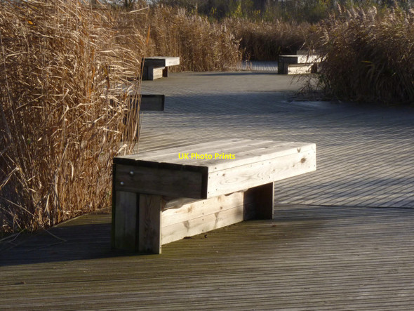 Photo 6"x4" The Lilypad Boardwalk  Beeston\/SK5236 c2012