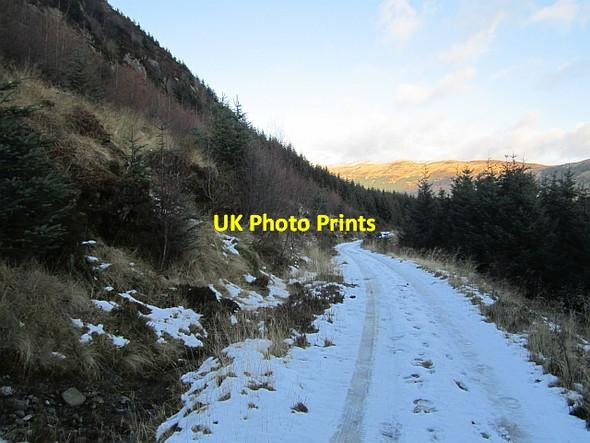 Photo 6"x4" Logging road, Stank Glen Ardchullarie More c2012