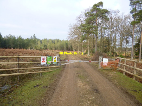 Photo 6"x4" Slufters Inclosure, gate Stoney Cross c2012